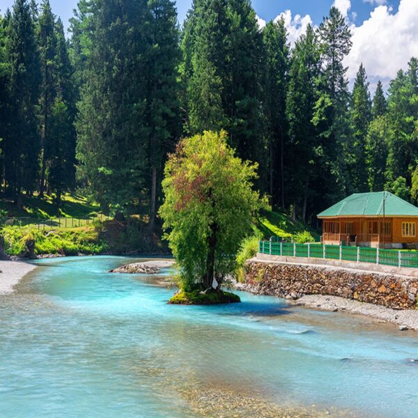 Hill Station Tour Kashmir Tour Ex. Srinagar (05N / 06D)